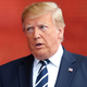 Image for article titled The Pee Tape Rides Again
